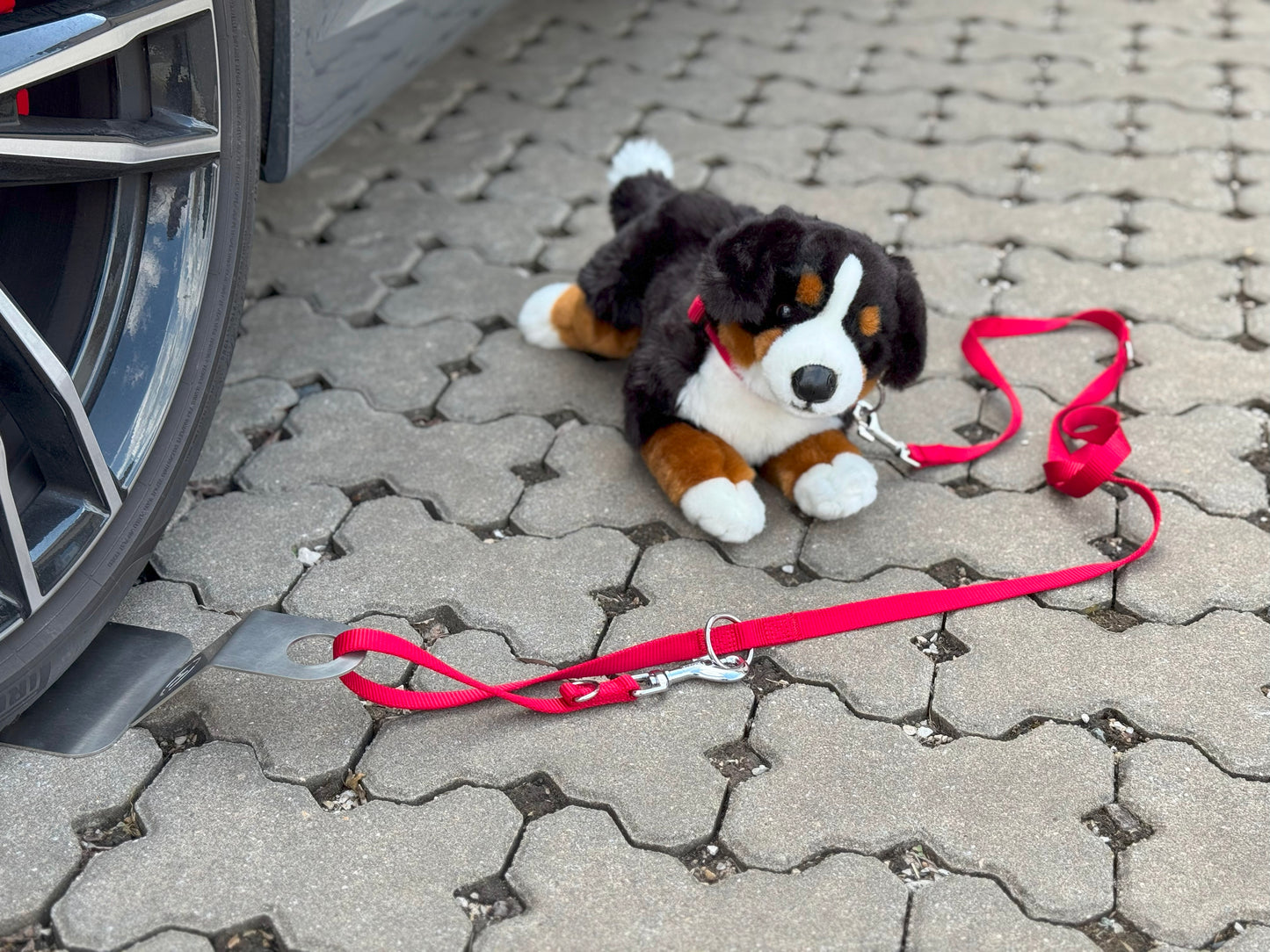 Camperly – The Lock for Dog and Bike - Artenus Tech 