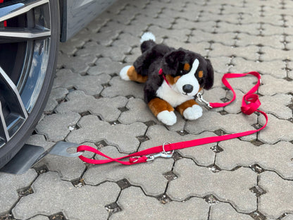 Camperly – The Lock for Dog and Bike - Artenus Tech 