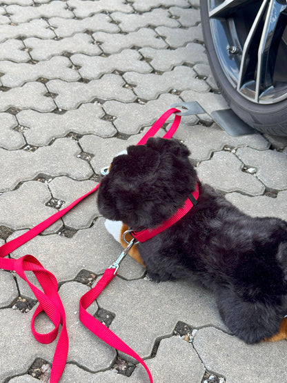 Camperly – The Lock for Dog and Bike - Artenus Tech 